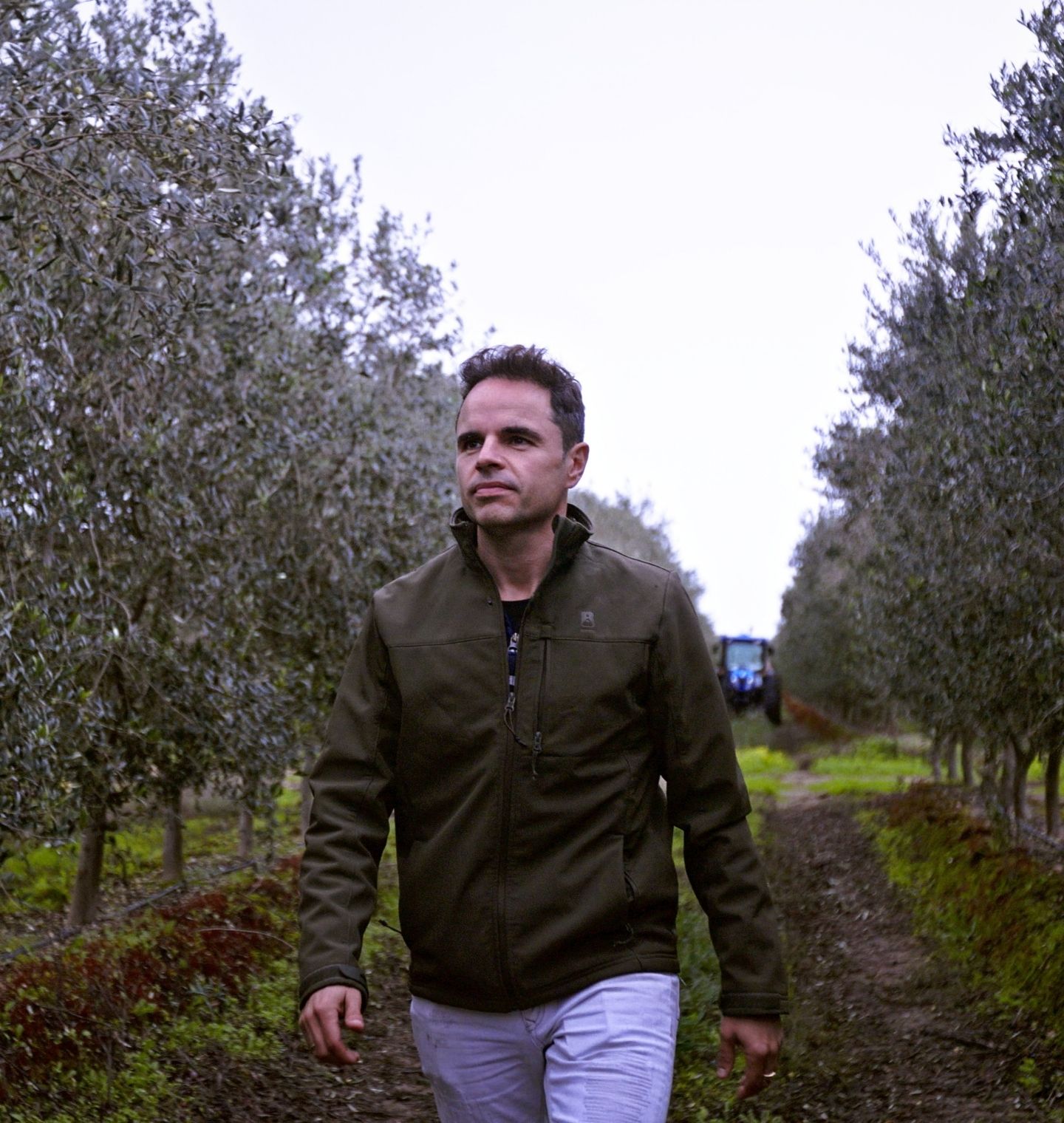 ACEITE DE OLIVA EN SANTA AMALIA